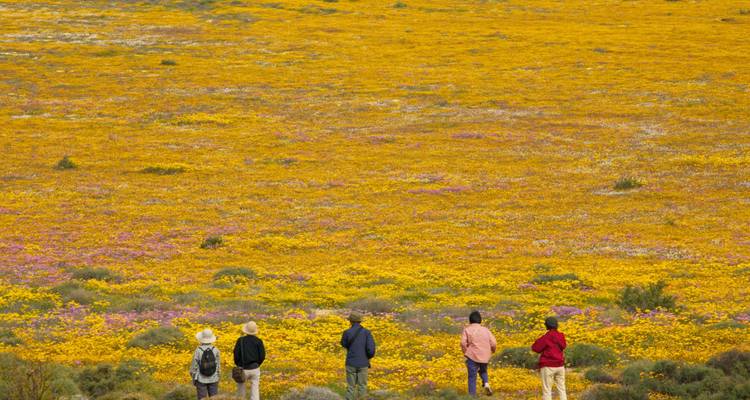 Namaqualand Flower Tour - Amatungulu Tour 2
