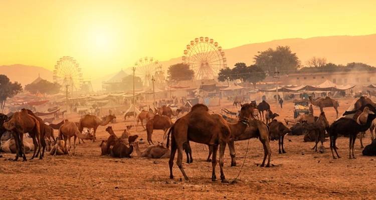 Circuito histórico por Rajastán - Panda Experiences 8