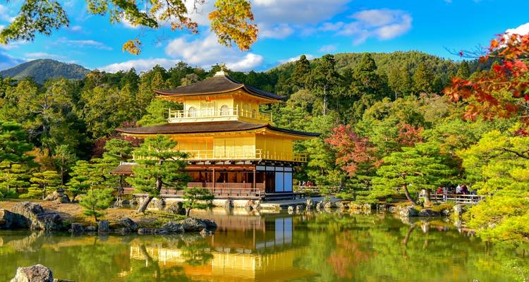 Le Japon en une semaine - Contiki 3