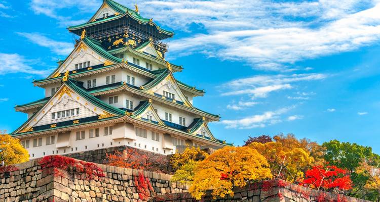 Le Japon en une semaine - Contiki 4