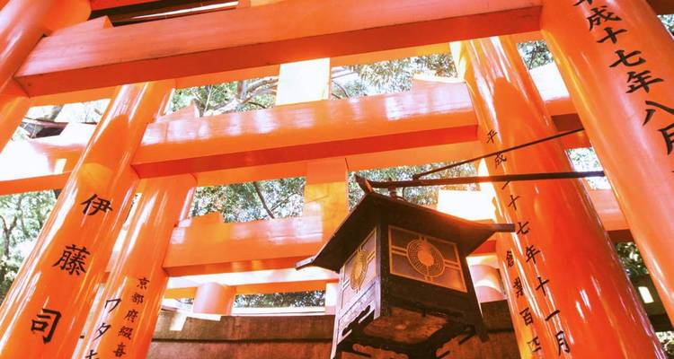 Perspectief uitzicht omhoog door felrode torii poorten van het Fushimi Inari heiligdom