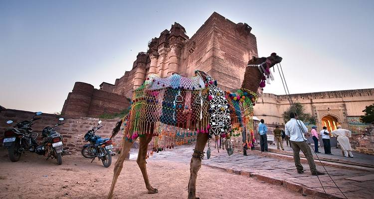Glorious Rajasthan - Panda Experiences 10