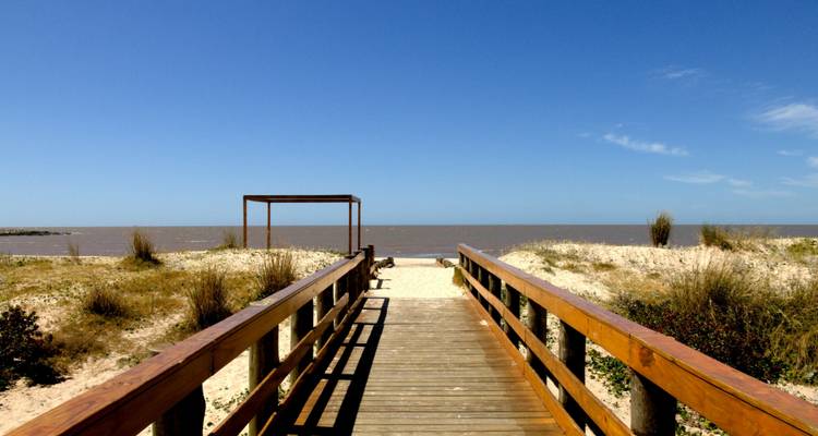 Across the Río de la Plata: Buenos Aires & Montevideo Experience - People Travel and Experience 10