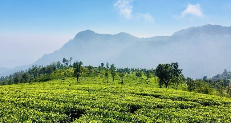 Le meilleur du Karnataka et de Goa - Panda Experiences 2