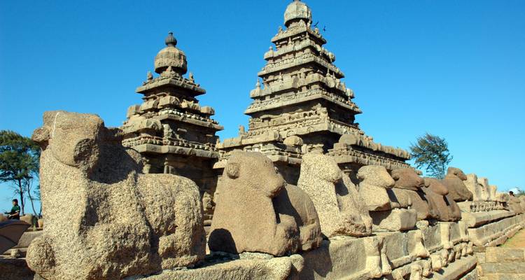 Les points forts du Tamil Nadu - Panda Experiences 6