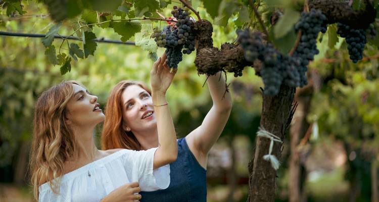 Circuit en petit groupe en Sicile - gastronomie et vins - 8 jours - Click Tours 7