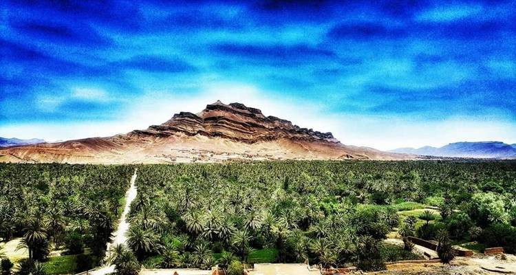 Oasis with palm trees and mountain backdrop.