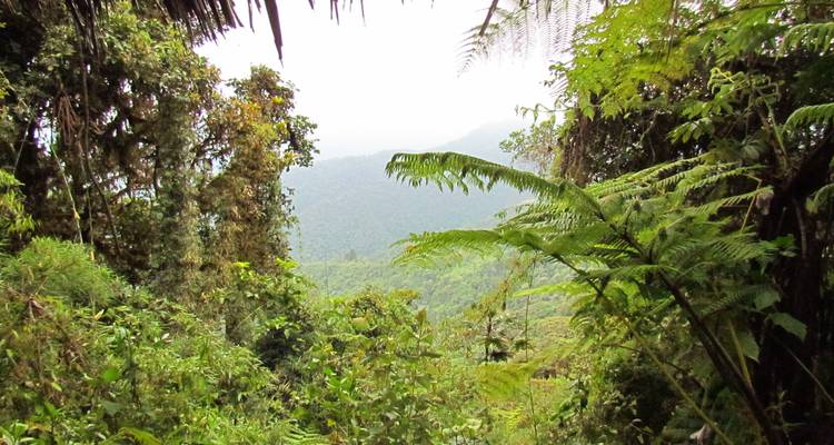 ¡10 días de experiencia única privada Los pueblos andinos y comunidades locales en Ecuador! - Signature DMC 4
