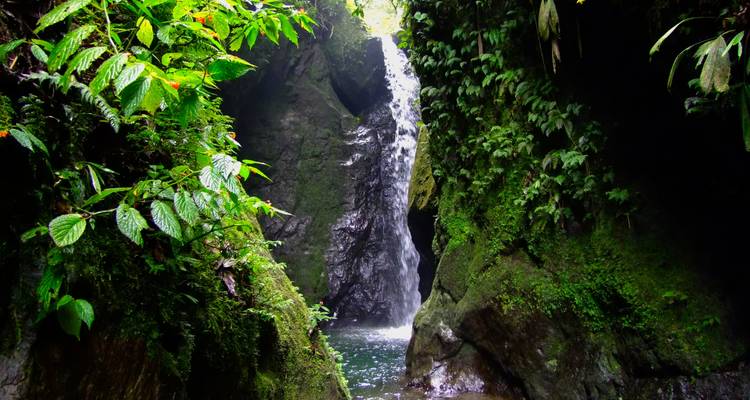 ¡10 días de experiencia única privada Los pueblos andinos y comunidades locales en Ecuador! - Signature DMC 7