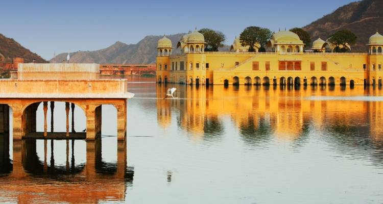 Introducción al norte de la India - Panda Experiences 7