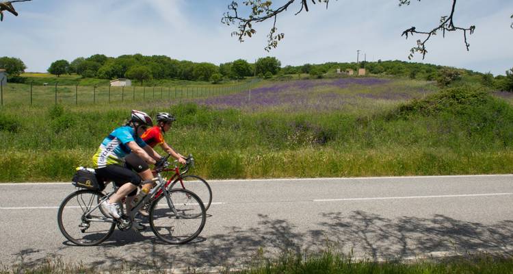 Discover Emilia-Romagna, the Gastronomic Heart of Italy - Casual self guided 8day - BikesPlus Travel 6
