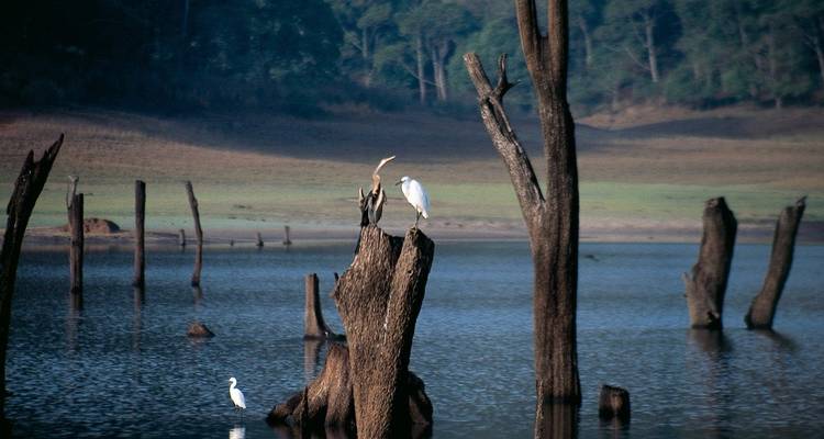 Viaje al sur de la India - Golden Triangle India Tours 8