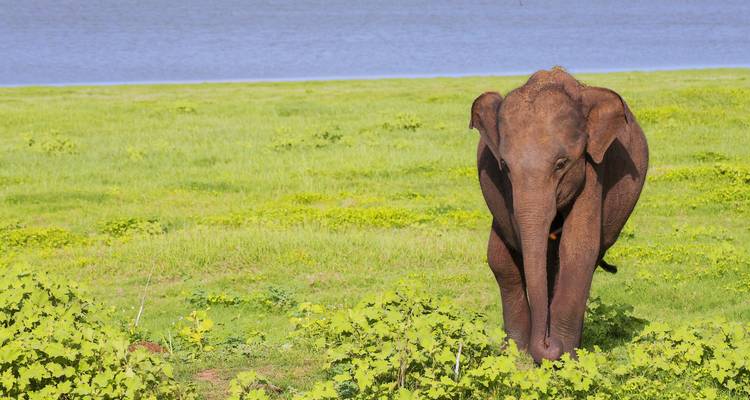 Viaje al sur de la India - Golden Triangle India Tours 9