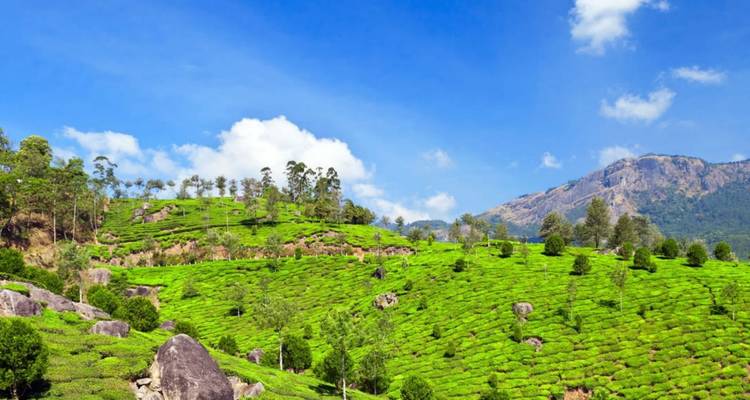 Viaje al sur de la India - Golden Triangle India Tours 10
