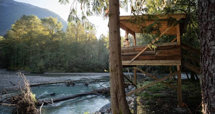 Osos pardos de la ensenada de Toba - 3 noches / 4 días - Klahoose Wilderness Resort 3