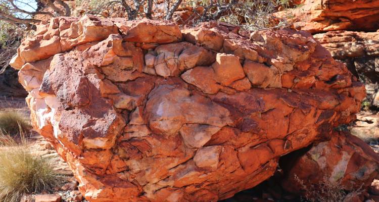 【Alice Springs】Uluru Ayers Rock & Kings Canyon 8 Days Touring Package - Delightful Travel 9
