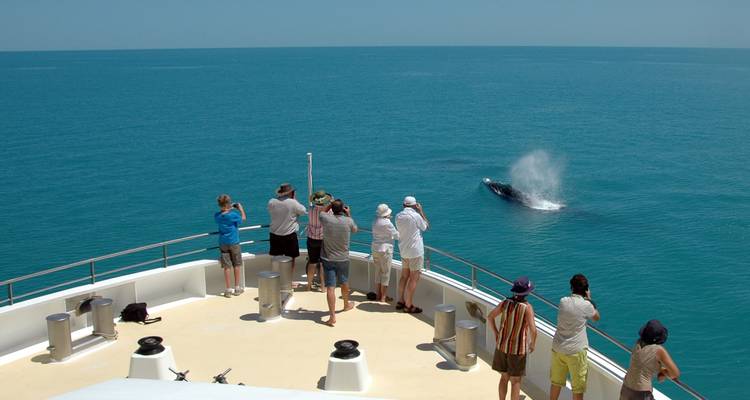 The Kimberley: Darwin to Broome Cruise - Premium Adventure - Exodus Adventure Travels 6