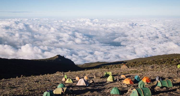 Monte Kilimanjaro 8 días ruta Lemosho - nuestra ruta favorita - African Polecat Safaris 2