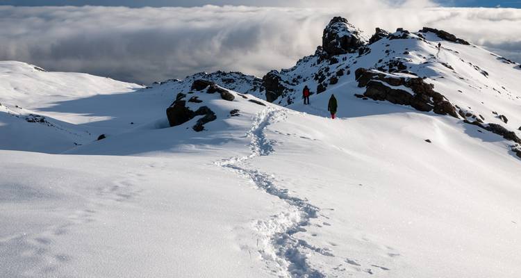 Monte Kilimanjaro 8 días ruta Lemosho - nuestra ruta favorita - African Polecat Safaris 4