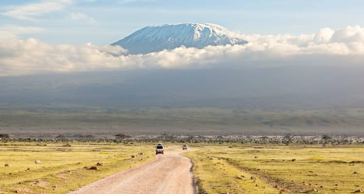 Monte Kilimanjaro 8 días ruta Lemosho - nuestra ruta favorita - African Polecat Safaris 5