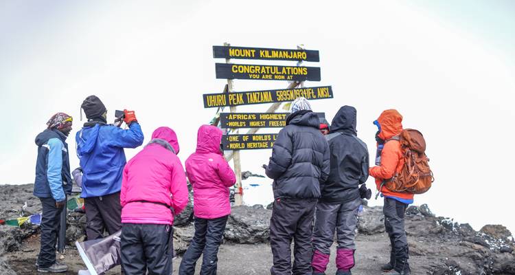 Monte Kilimanjaro 8 días ruta Lemosho - nuestra ruta favorita - African Polecat Safaris 6