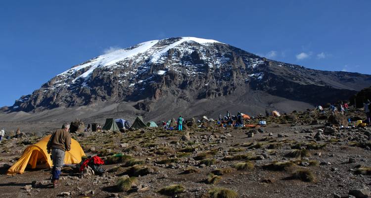 Monte Kilimanjaro 8 días ruta Lemosho - nuestra ruta favorita - African Polecat Safaris 8