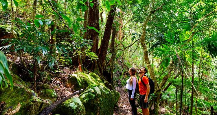 Marcher sur la côte panoramique du Queensland (including Gold Coast) - Intrepid Travel 1