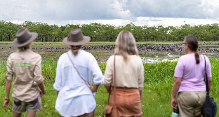 Excursion d'une journée dans le parc national de Kakadu - Autopia Tours 10