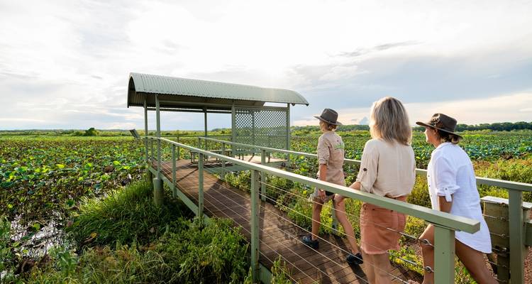 Excursion d'une journée dans le parc national de Kakadu - Autopia Tours 1
