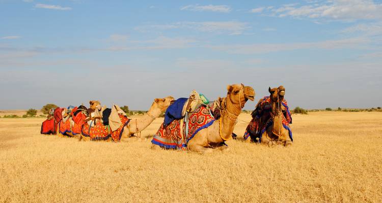 Circuito por el norte y el sur de la India desde Bombay - Golden Triangle India Tours 8