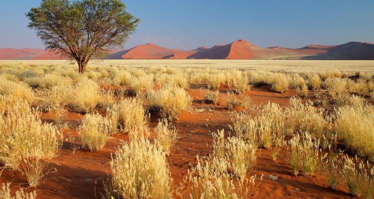 Sossusvlei Region Short Break, Private Tour - ATC Group 7