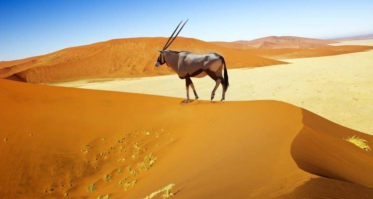 Bellos Contrastes del Sur de Namibia, Circuito Privado (Bajo petición) - ATC Group 2