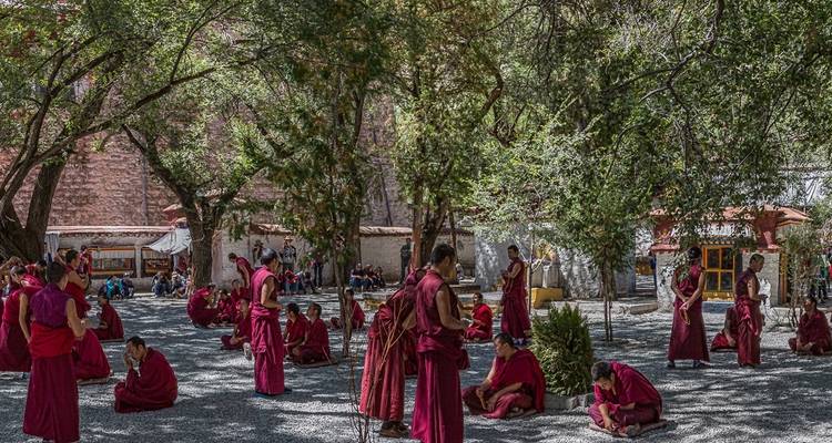 Circuit au Népal, au Tibet et au Bhoutan - Peregrine Treks and Expedition Pvt Ltd 9