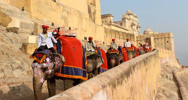 Decorated elephants carrying tourists at Amber Fort.