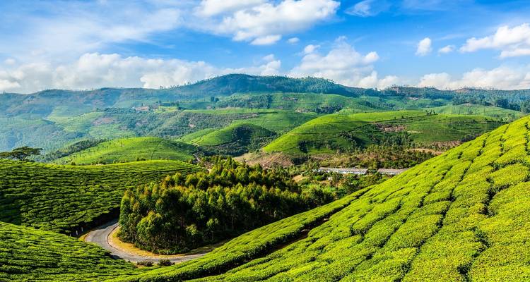 Experiencia de Kerala - Golden Triangle India Tours 2
