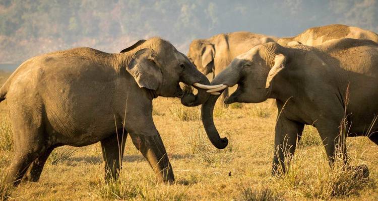 Sorprendente Karnataka con Goa - Golden Triangle India Tours 4