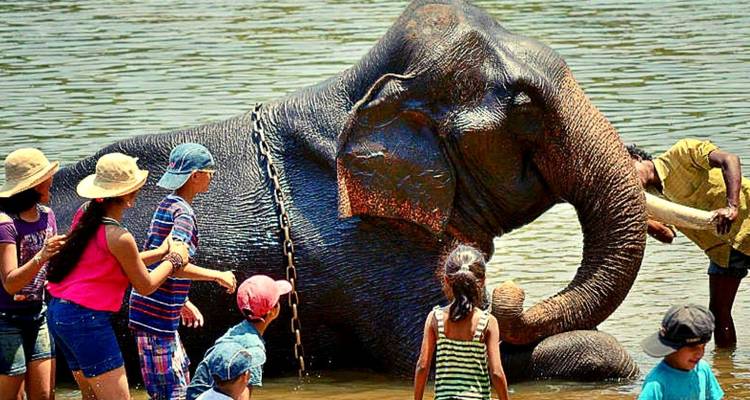 Sorprendente Karnataka con Goa - Golden Triangle India Tours 7