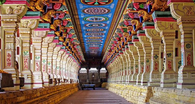 Highlights of South India - Golden Triangle India Tours 9