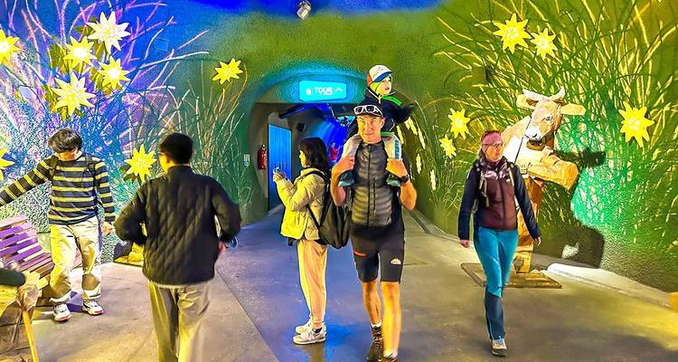 Tailor-Made Private Swiss Tour to Golden Pass Line with Daily Departure - Agate Travel 9