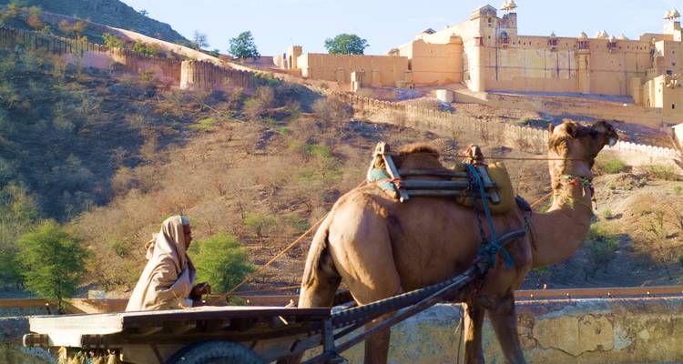 Ein Kamelkarren mit einer historischen Festung im Hintergrund.