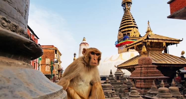 Majestuoso Nepal - Golden Triangle India Tours 3
