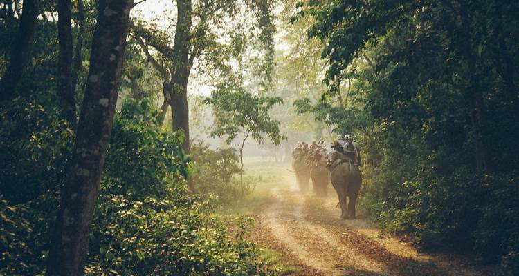 Majestuoso Nepal - Golden Triangle India Tours 6