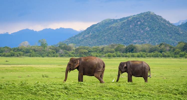 Majestuoso Nepal - Golden Triangle India Tours 7