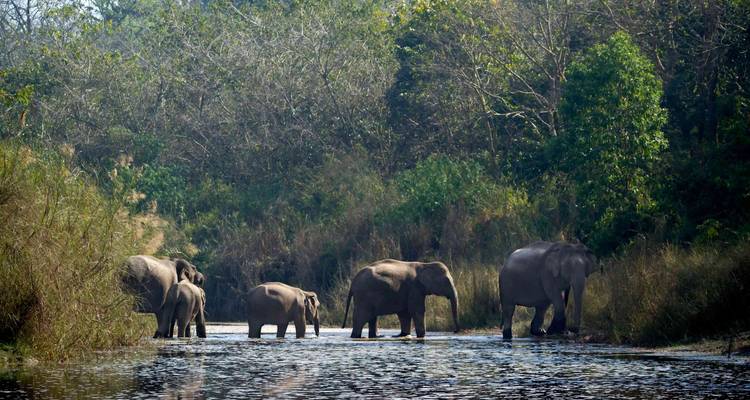 Splendeurs du Népal - Golden Triangle India Tours 8