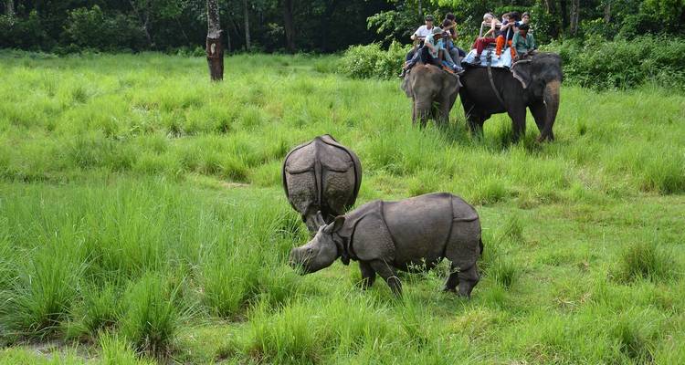 Splendeurs du Népal - Golden Triangle India Tours 9