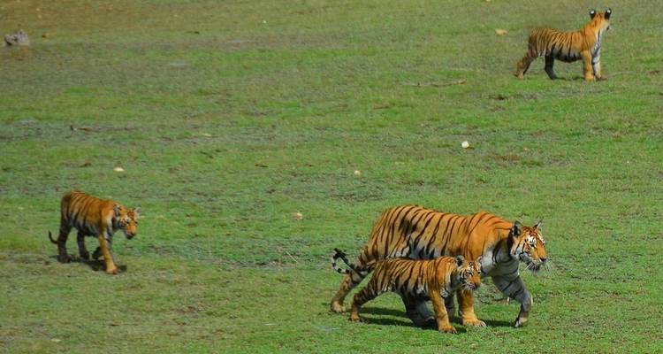 La tournée de Kipling en Inde - Golden Triangle India Tours 6