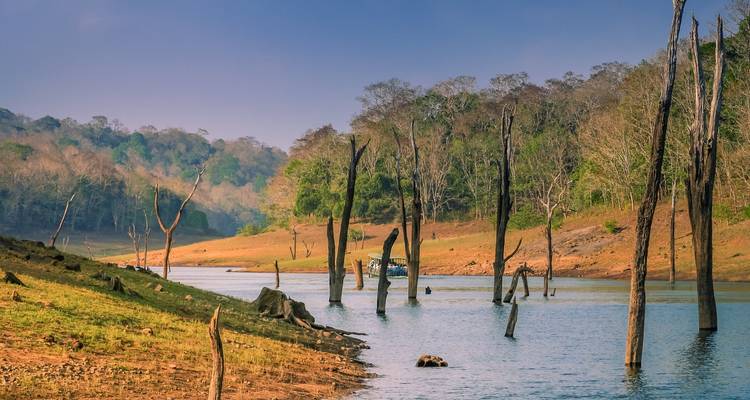 Viaje de 7 días a Kerala - Golden Triangle India Tours 6
