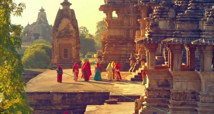 India Wildlife with Taj Mahal Tour - Golden Triangle India Tours 9