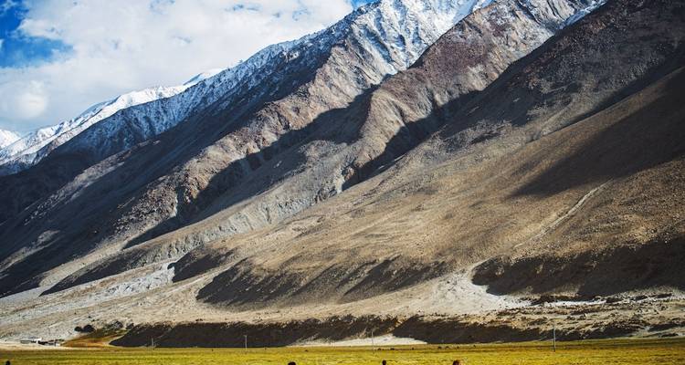 Le meilleur du Ladakh - Golden Triangle India Tours 6