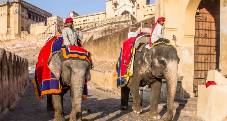 Circuit du Triangle d'Or avec safari tigre - Golden Triangle India Tours 4